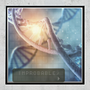 ARTISTA DESCONOCIDO: Improbable