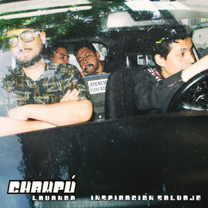 CHAMPU LAVANDA: Inspiración Salvaje