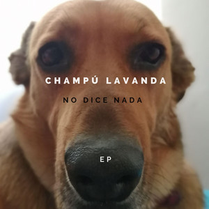 CHAMPU LAVANDA: No dice nada