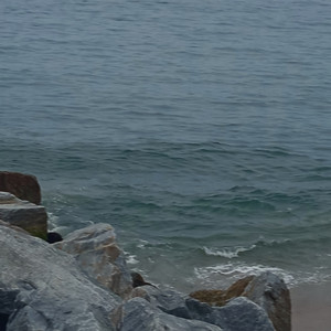 DE PERDER SUS PETALOS: Somos Frágiles