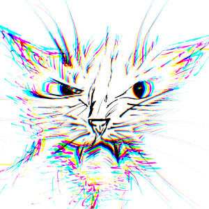 DUNA ALMAR: Gato Gringo