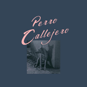 DUNA ALMAR: Perro Callejero