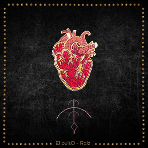 EL PULS0: Raíz