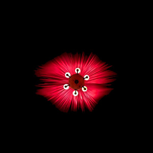 ETERNAUTAS: Círculos