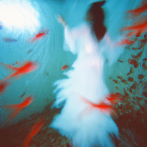 FUEGO EN CAIRO: Acuario