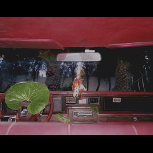 FUEGO EN CAIRO: Lava