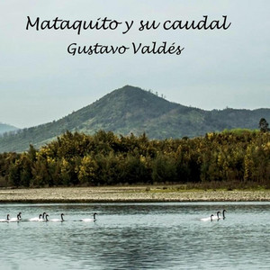 GUSTAVO VALDES: Mataquito y Su Caudal