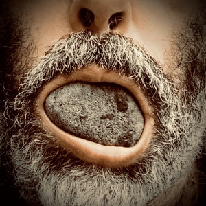 IGNACIO GUMUCIO: Besar y morder