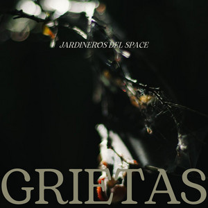 JARDINEROS DEL SPACE: Grietas
