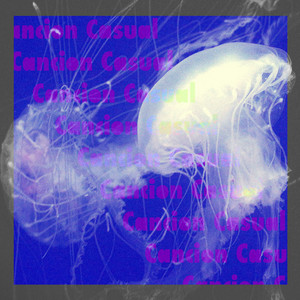 JUAN PABLO RUIZ: Casual