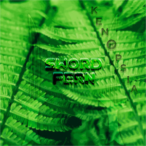 KENOPSIA: Sword Fern
