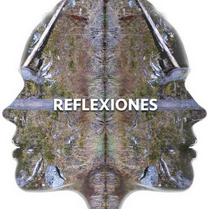 LOS PRETENCIOSOS: Reflexiones