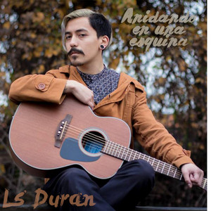 LS DURAN: Anidando en una Esquina